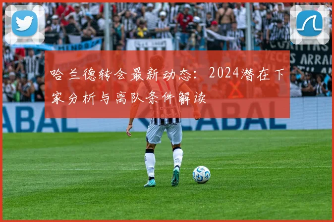 哈兰德转会最新动态：2024潜在下家分析与离队条件解读