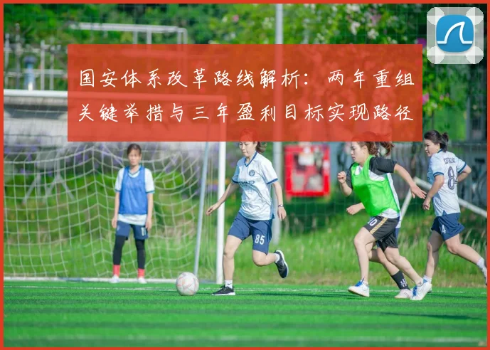 国安体系改革路线解析：两年重组关键举措与三年盈利目标实现路径