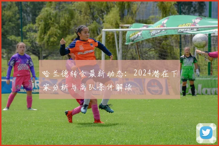 哈兰德转会最新动态:2024潜在下家分析与离队条件解读